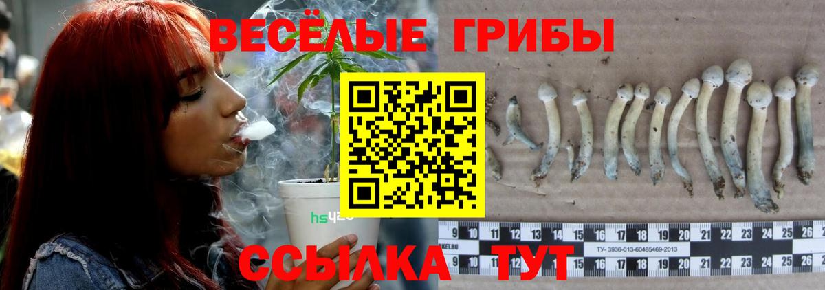 Псилоцибиновые грибы прущие грибы Новочеркасск