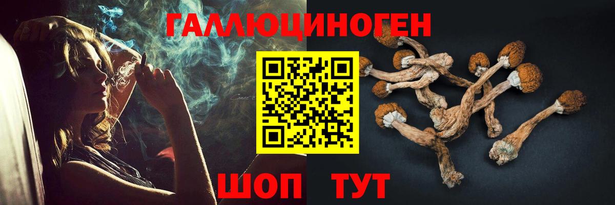 Галлюциногенные грибы прущие грибы  Вход с VPN  Новочеркасск 